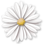 flower - single white paper