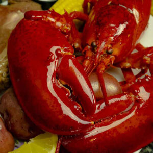 Live Maine Lobster website
